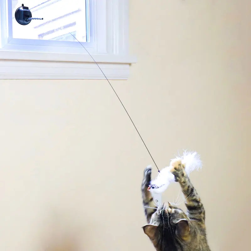 Interactive Bird Simulation Cat Toy Set with Realistic Bird Impression