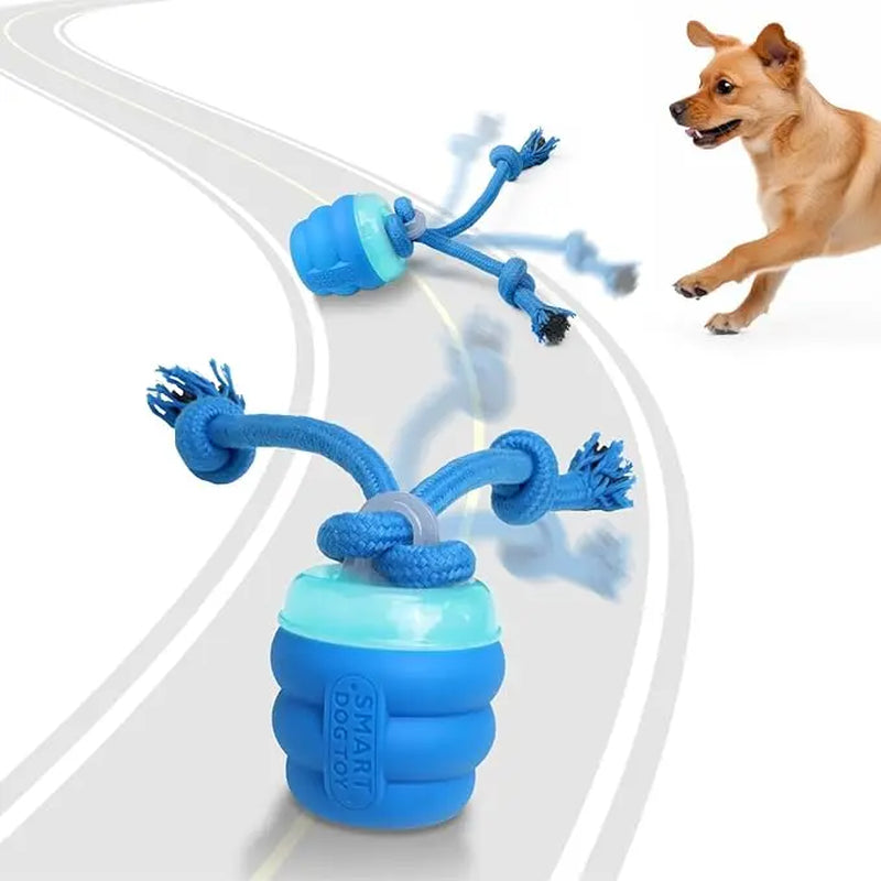 Motion Activated Interactive Dog Toy for Daily Training - Squeaky Rolling Wicked Ball (Blue)