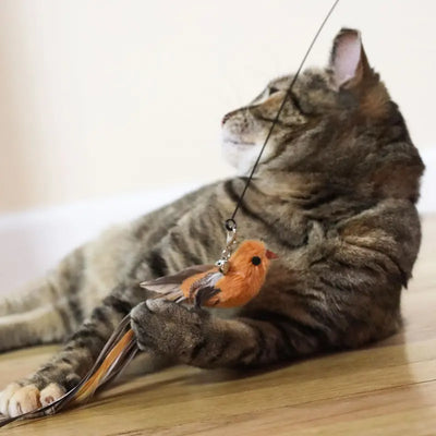 Interactive Bird Simulation Cat Toy Set with Realistic Bird Impression