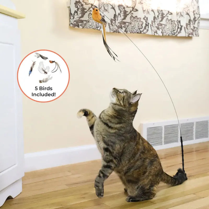 Interactive Bird Simulation Cat Toy Set with Realistic Bird Impression