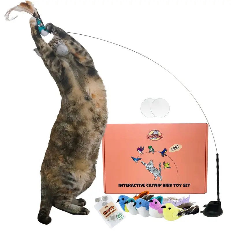 Interactive Bird Simulation Cat Toy Set with Realistic Bird Impression