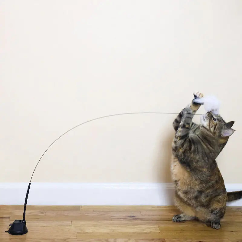 Interactive Bird Simulation Cat Toy Set with Realistic Bird Impression