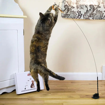 Interactive Bird Simulation Cat Toy Set with Realistic Bird Impression