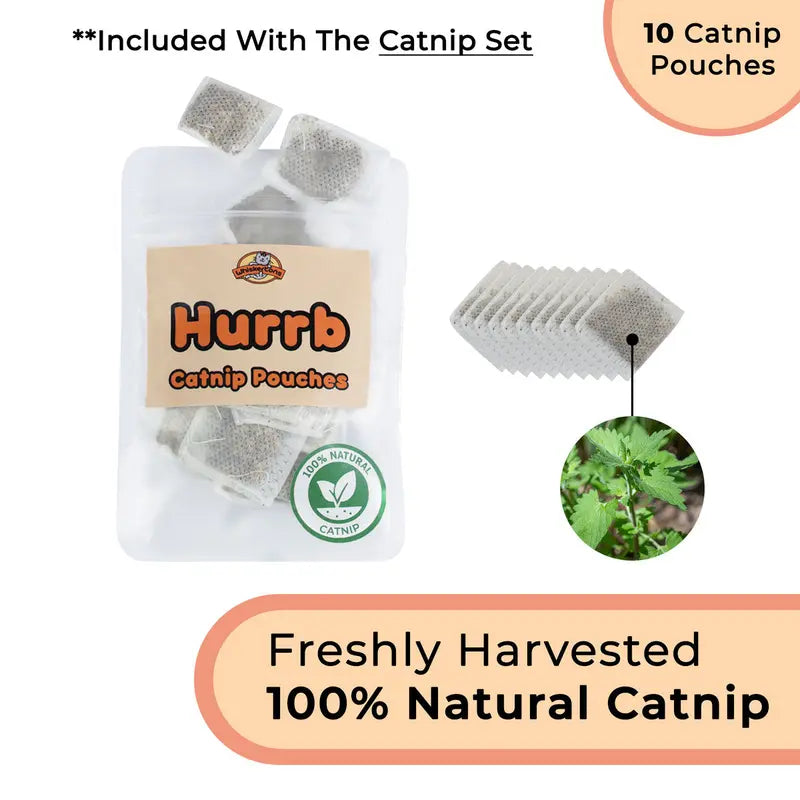 Interactive Bird Simulation Cat Toy Set with Realistic Bird Impression